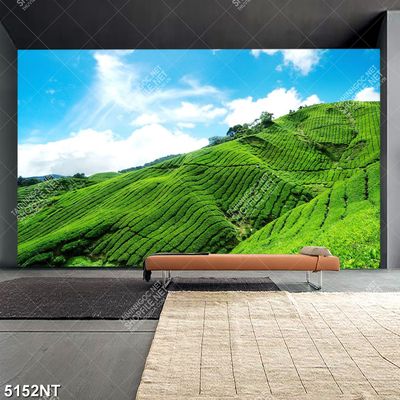 Tranh đồi chè xanh