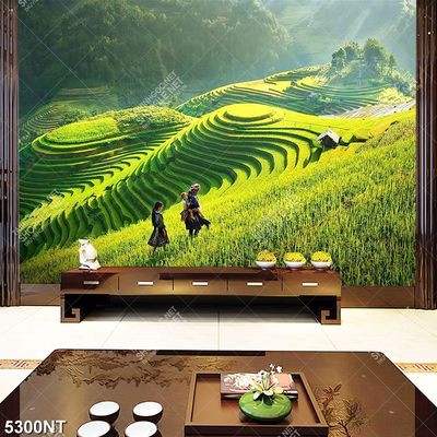 Tranh file gốc cánh đồng ruộng bậc thang