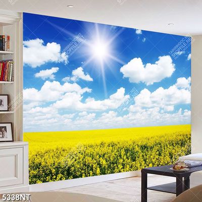 Tranh bầu trời trong xanh 5338NT