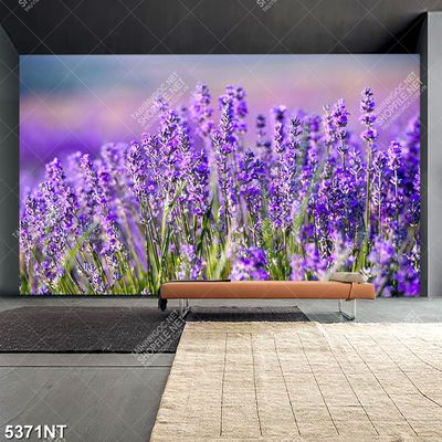 Tranh hoa oải hương