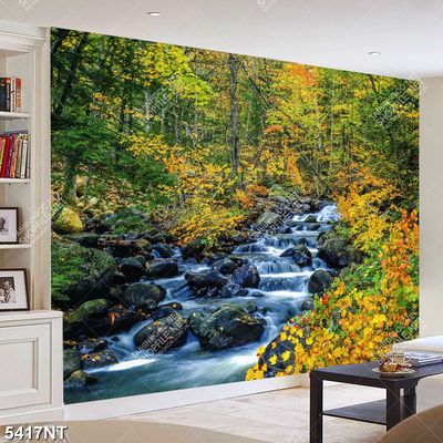 Tranh thác nước thiên nhiên 5417NT