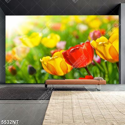 Tranh hoa tulip nở đẹp