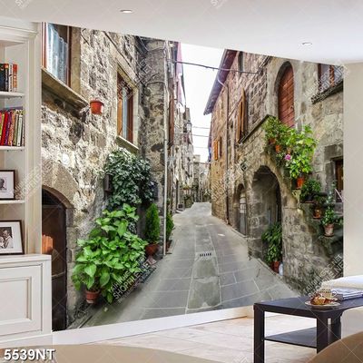 Tranh khu nhà cổ Châu Âu file gốc