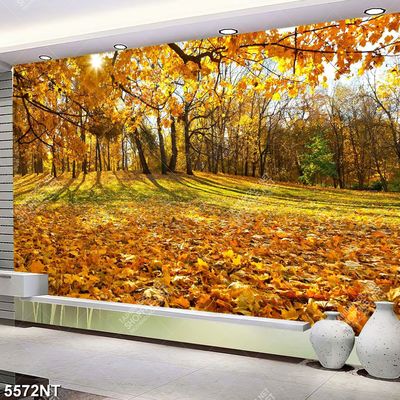 Tranh khu rừng lá vàng mùa thu