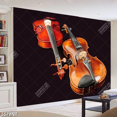 Tranh đàn vĩ cầm