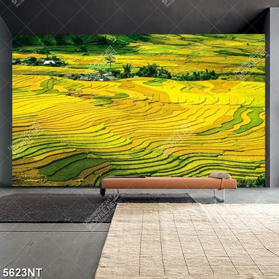 Tranh ruộng lúa chín vàng file gốc