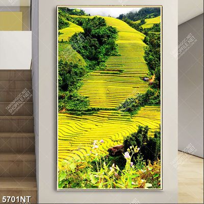Tranh file gốc ruộng bậc thang đẹp 5701NT