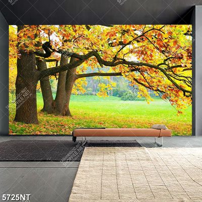 Tranh file gốc rừng cây lá vàng 5725NT