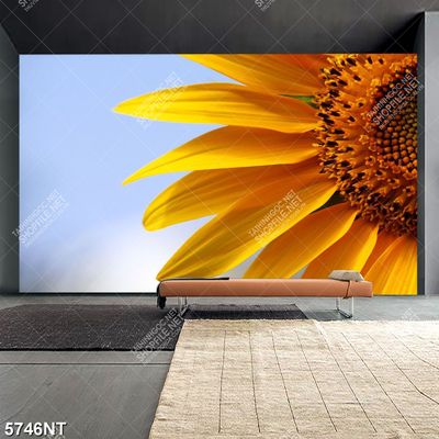 Tranh hoa hướng dương