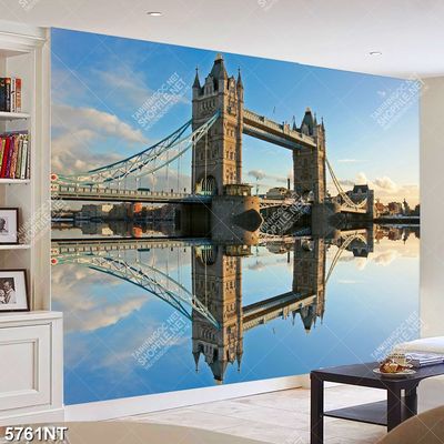 Tranh cầu tháp London