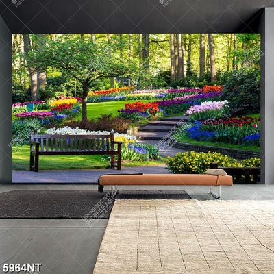 Bức tranh trong ống kính