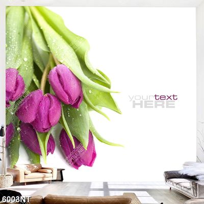 Tranh nghệ thuật trang trí tường