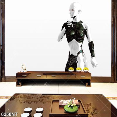 Tranh rô bốt 6250NT