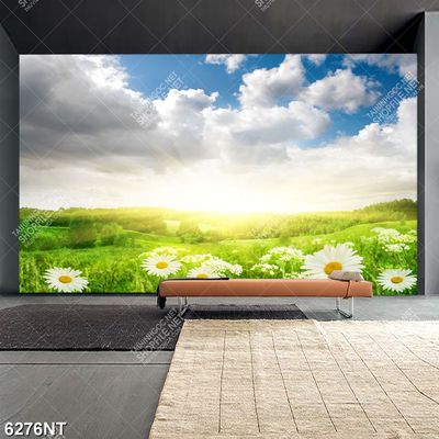 Tranh cỏ xanh mây trắng