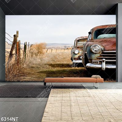 Tranh chiếc xe ô tô cũ