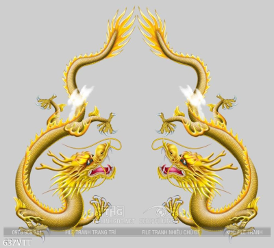 File PSD cặp rồng vàng