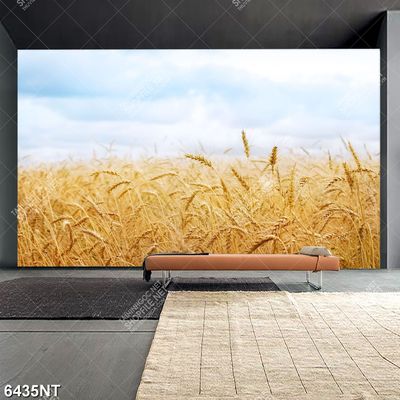 Tranh cánh đồng lúa mạch 6435NT