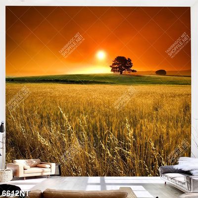 Tranh trang trí nghệ thuật