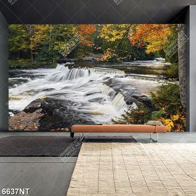 Tranh trang trí nghệ thuật