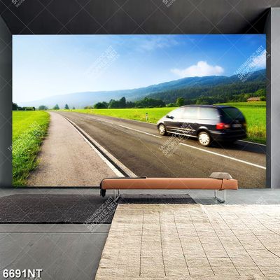 Tranh con đường 6691NT