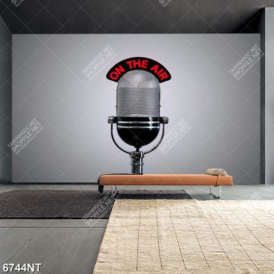 Tranh mic thu âm