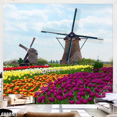 Tranh cánh đồng hoa tulip đẹp 6888NT