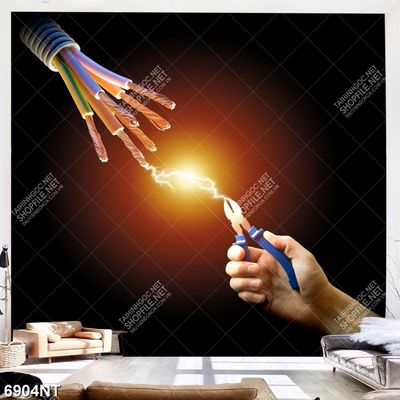 Tranh dòng điện nghệ thuật 6904NT