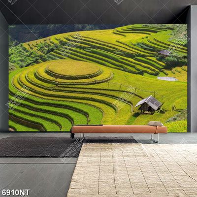 Tranh ruộng bậc thang 6910NT