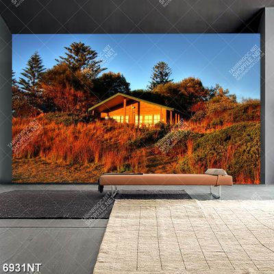 Tranh ngôi nhà dưới ánh hoàng hôn