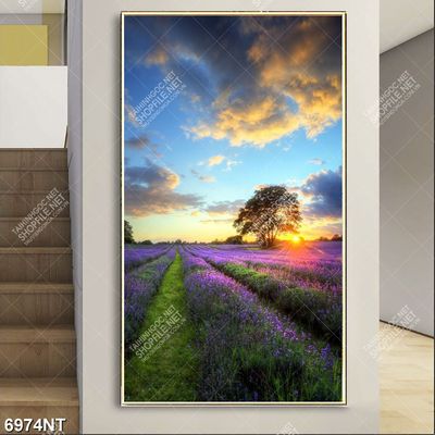 Tranh cánh đồng hoa oải hương