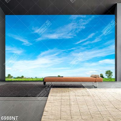 Tranh bầu trời trong xanh 6988NT