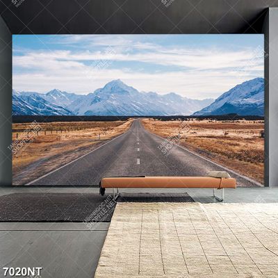 Tranh con đường vắng 7020NT