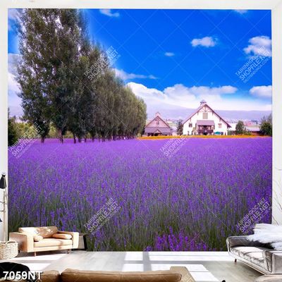 Tranh cánh đồng hoa Lavender