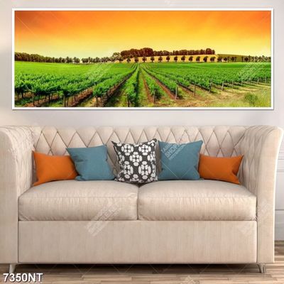Tranh cánh đồng nho 7350NT