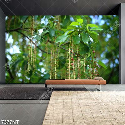 Tranh cây lộc vừng