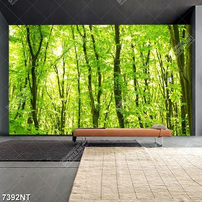 Tranh khu rừng xanh 7392NT