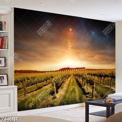 Tranh nghệ thuật cánh đồng nho 7446NT