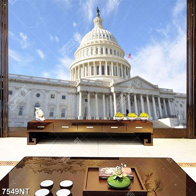 Tranh Nhà Trắng nước Mỹ