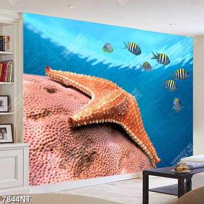 Tranh sao biển 7844NT