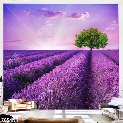 Tranh cánh đồng hoa oải hương 7854NT