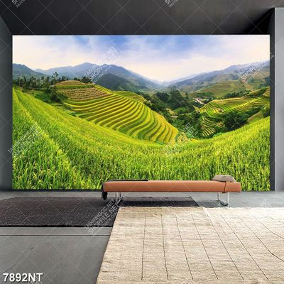 Tranh ruộng bậc thang đẹp 7892NT