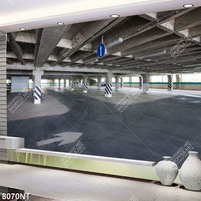 Tranh bãi đậu xe 8070NT