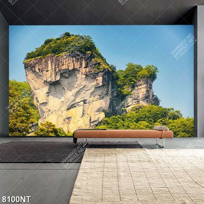Tranh núi đá thiên nhiên 8100NT