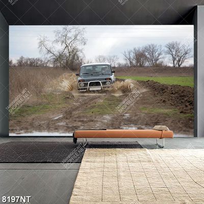 Tranh lái xe qua vũng nước