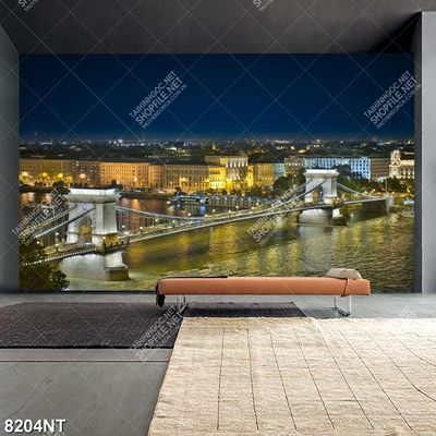 Tranh cây cầu đẹp 8204NT