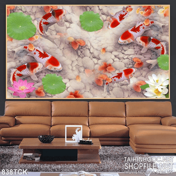 Tranh cá koi đỏ bơi nền sỏi trắng đẹp in psd