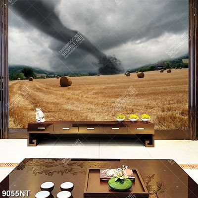 Tranh nghệ thuật vòi rồng trên cánh đồng lúa