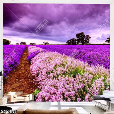 Tranh cánh đồng hoa oải hương 9124NT