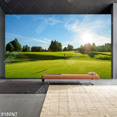 Tranh sân golf 9180NT