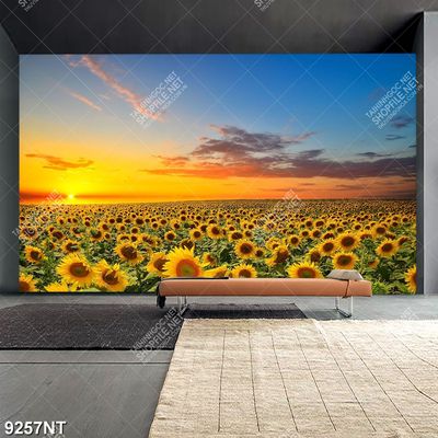 Tranh cánh đồng hoa hướng dương 9257NT